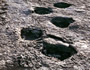 Dinosaurier Fußabdrücke in Lavini di Marco Rovereto